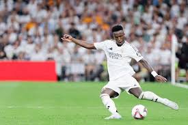 己独特的归 己独特的归